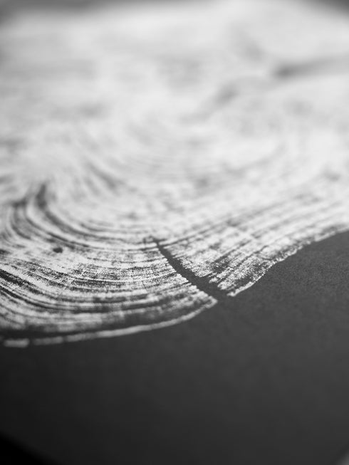 "Cypress" - Tree Print - Black Paper